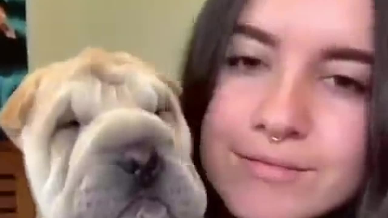 Challenge__Kiss_Your_Dog_on_Head___Record_Reaction