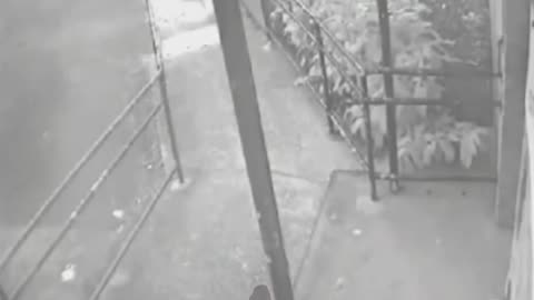 Paranormal activity #7