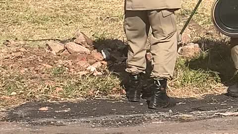 Snake Removed From Car