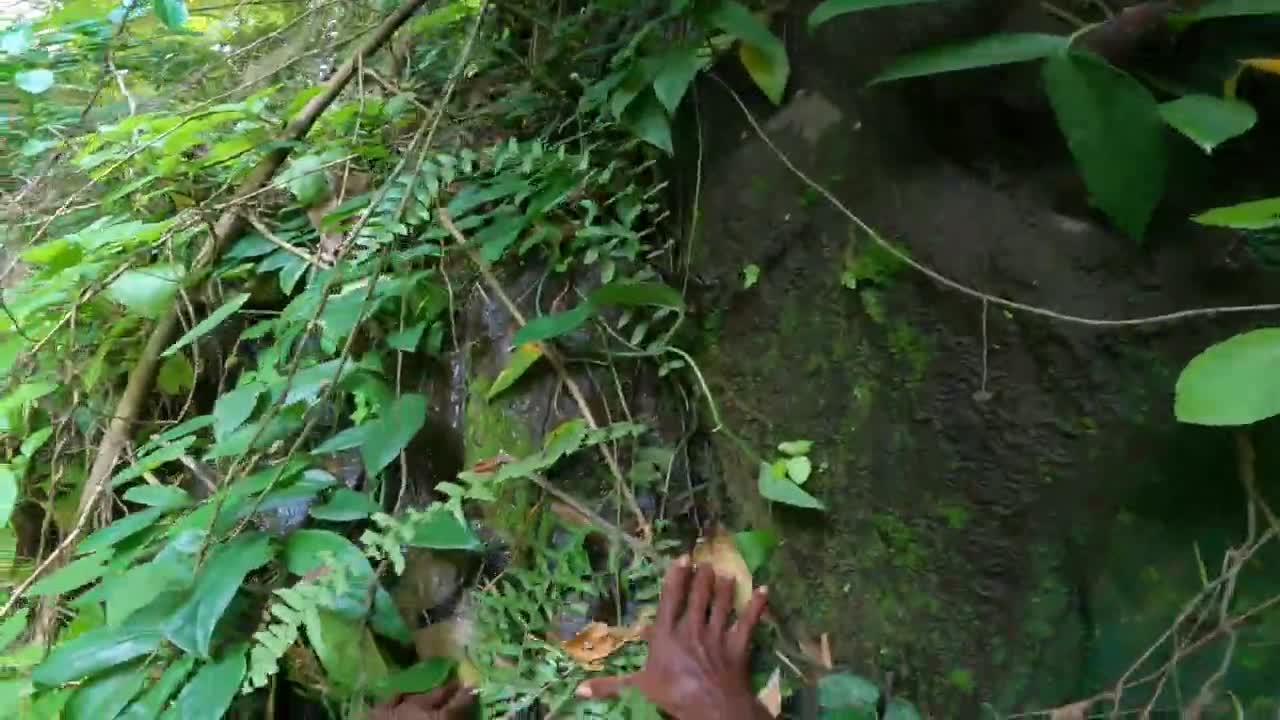 Short tour of the waterfall (Cook and Camp site)