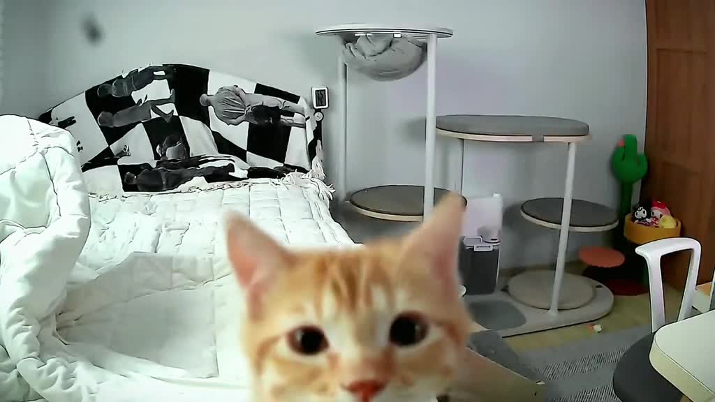 Why are you hitting me