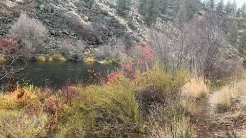 Central Oregon – Steelhead Falls – Hiking Through the Thicker Shoreline Section