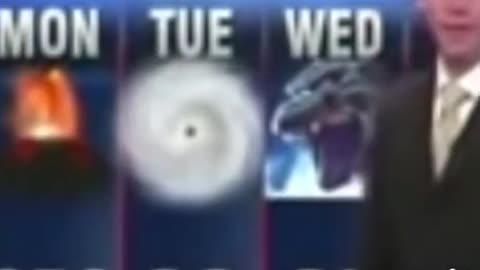 Weekly Forecast