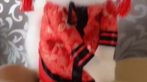 OMG So Cute Cats ♥ Best Funny Cat ❤️🐈Videos 2021 #shorts