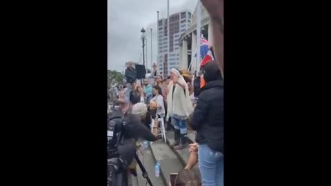 New Zealand Patriots Take The High Ground, Are Prepared For Sonic Weapons & Have Battle Tactics