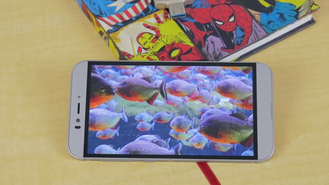 Smartphone with an eye scanner: The UMi Iron
