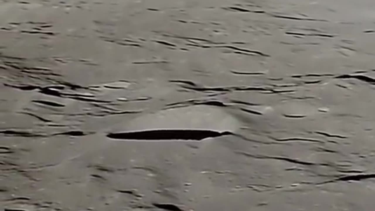 NASA Official