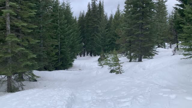 I am the Only One Here – Central Oregon – Potato Hill Sno-Park – 4K