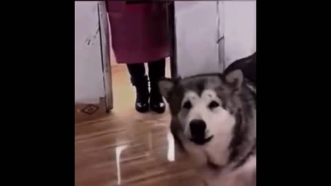 How dare you disturb my sleep? What am I gonna do to you?