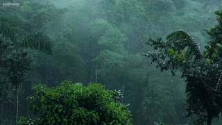 Relaxing music for those that love RAIN