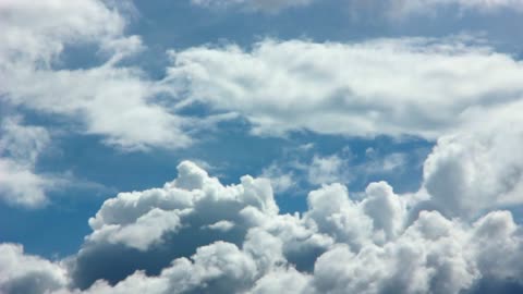 Lt Music, is a channel dedicated to a new concept of varied music