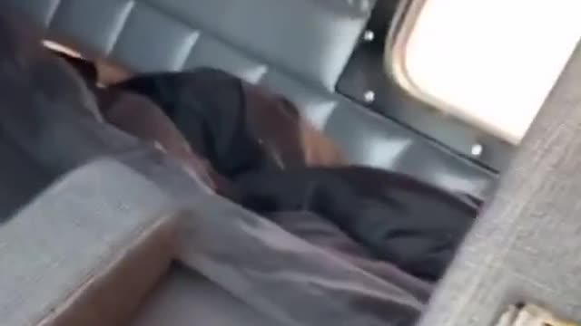 The old Peter Bildt solo truck is simple and rude, but you have a lot of space for two people.