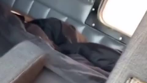 The old Peter Bildt solo truck is simple and rude, but you have a lot of space for two people.