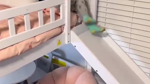 Daughter's Reaction to Getting Big Girl Room From Santa