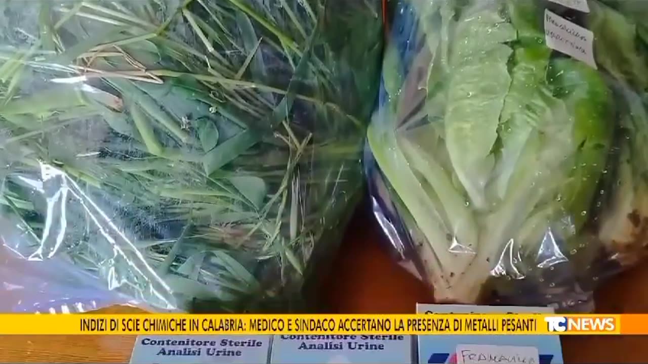 METALLI PESANTI IN ACQUA PIOVANA E PRODOTTI AGRICOLI. CAUSA DELLE SCIE CHIMICHE?