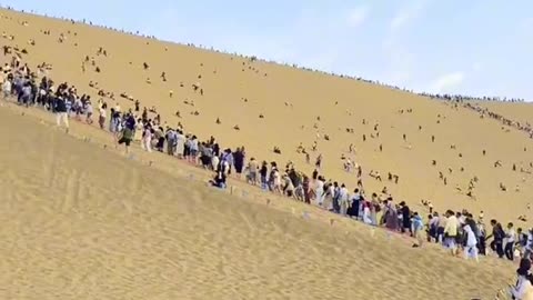 Habibi come to Dubai. Arabic Camal video . Night time view is so beautiful