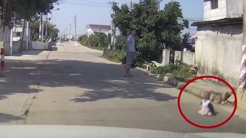 Animal_protect_human