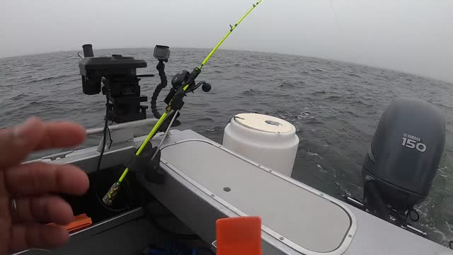 THE UNEXPECTED FISH BITE!!!