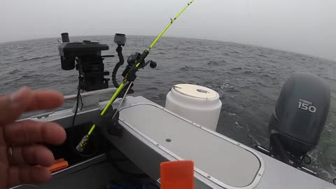 THE UNEXPECTED FISH BITE!!!