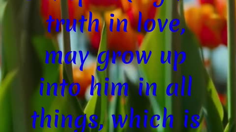 But speaking the truth in love, may grow up into him in all things, which is the head, even Christ: