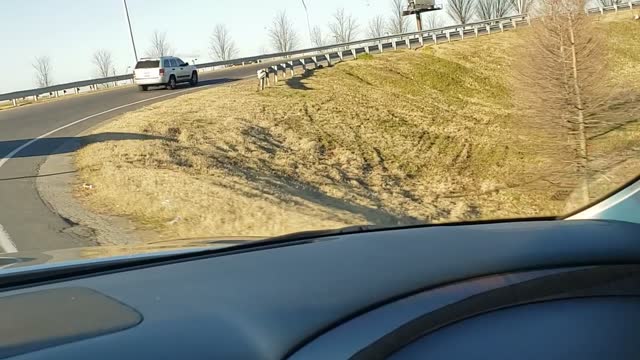 Female Driving at High Speeds with Guy on Hood of SUV