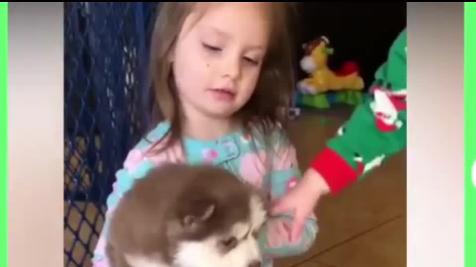Cute Baby and Pets Compilation- Funny Baby 😄