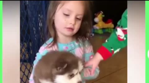 Cute Baby and Pets Compilation- Funny Baby 😄