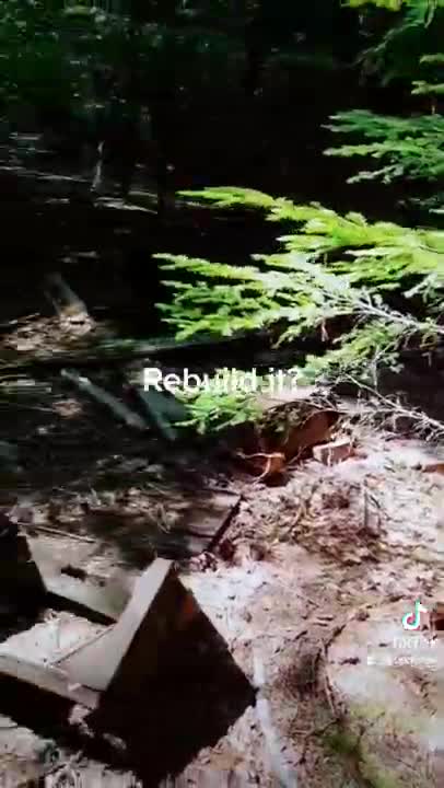 Old car in the Bush - Off grid area in South BC Canada