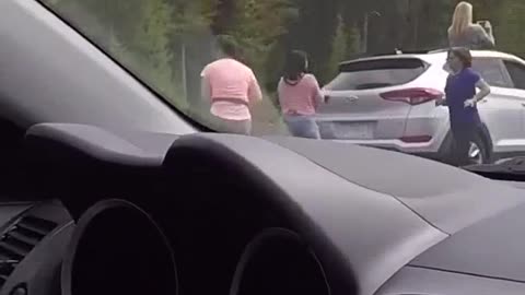 funny videos
