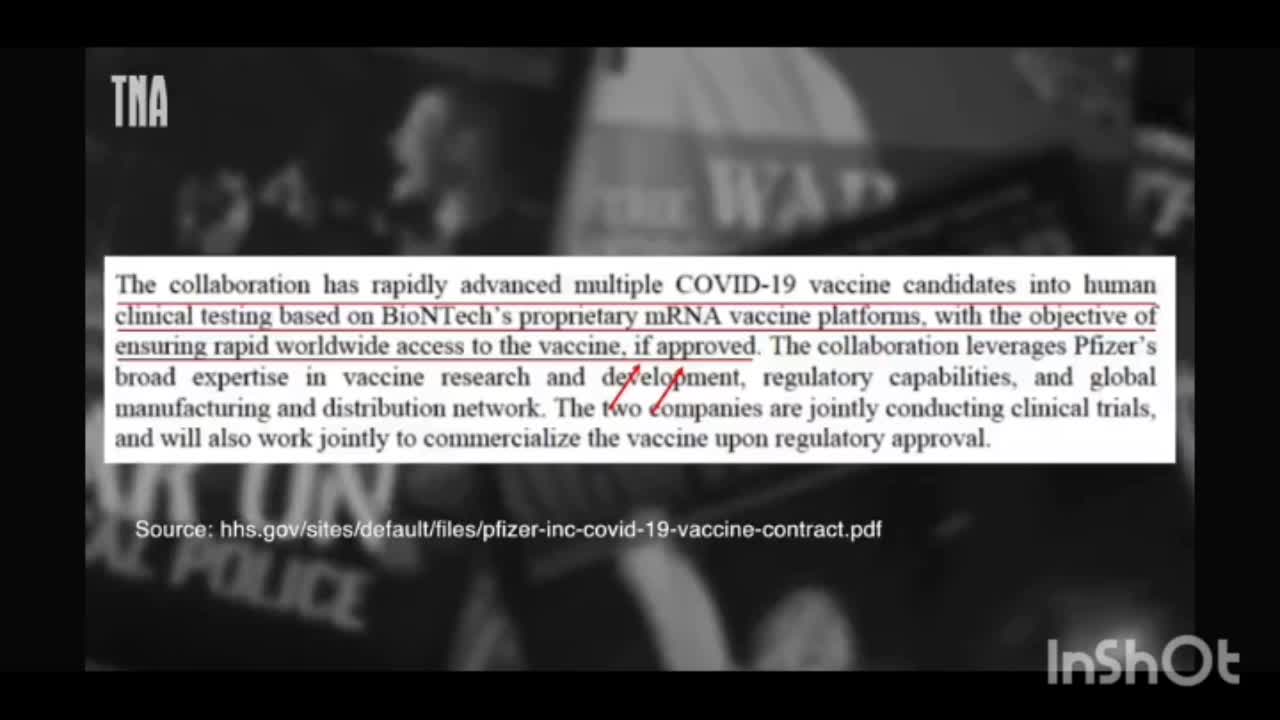 PFIZER FRAUD CONTRACTS FOR COVID JAB "BIOWEAPON" VERY STRANGE, BIG PHARMA EXPERT KAREN KINGSTON