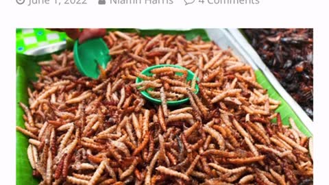 Whats going into your food