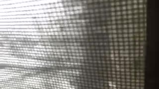 Derek Hunter Show last 15:00