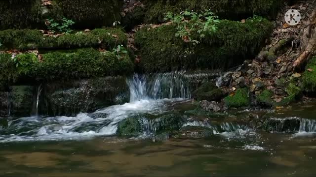 Beautiful Relaxing Piano Music#short