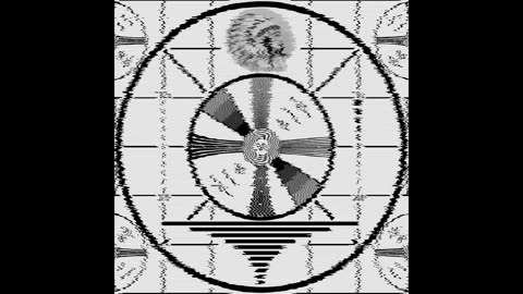 This is a test of the Bnny Alert System | Please Stand By