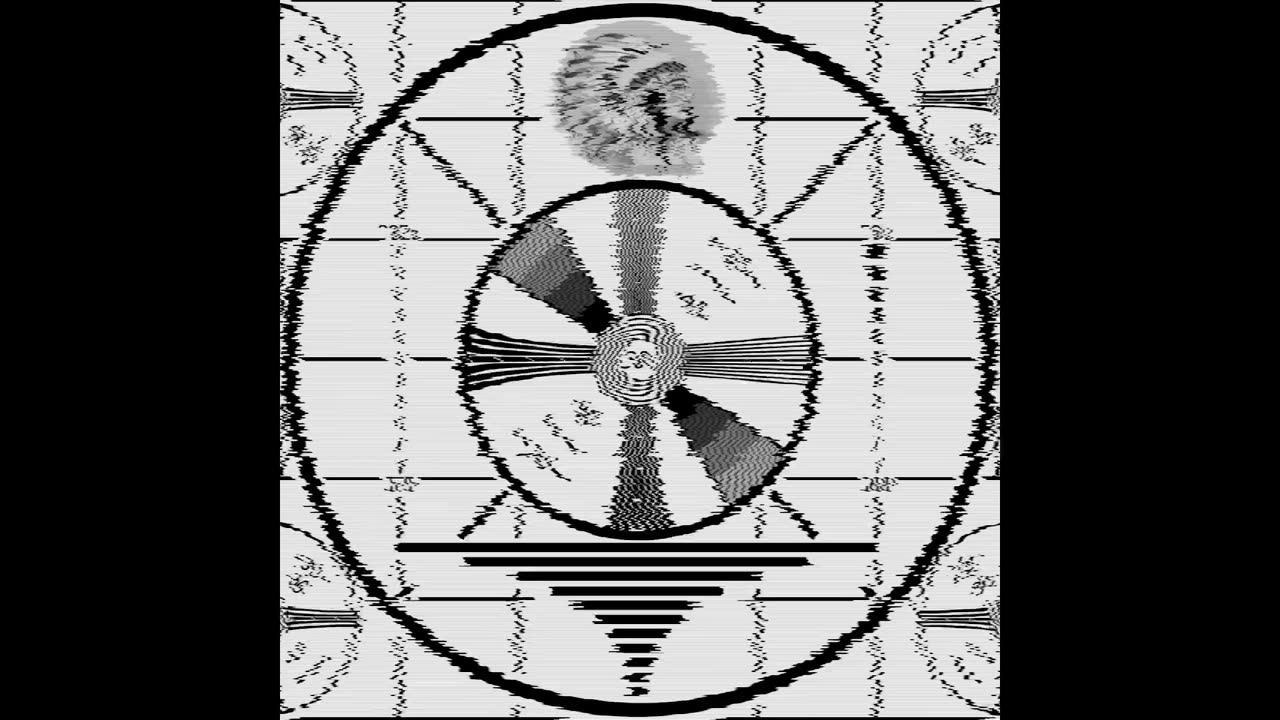 This is a test of the Bnny Alert System | Please Stand By