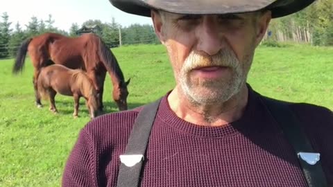 True Canadian Cowboy🍁Introducing👀Old🐴Monty💥🔥😎