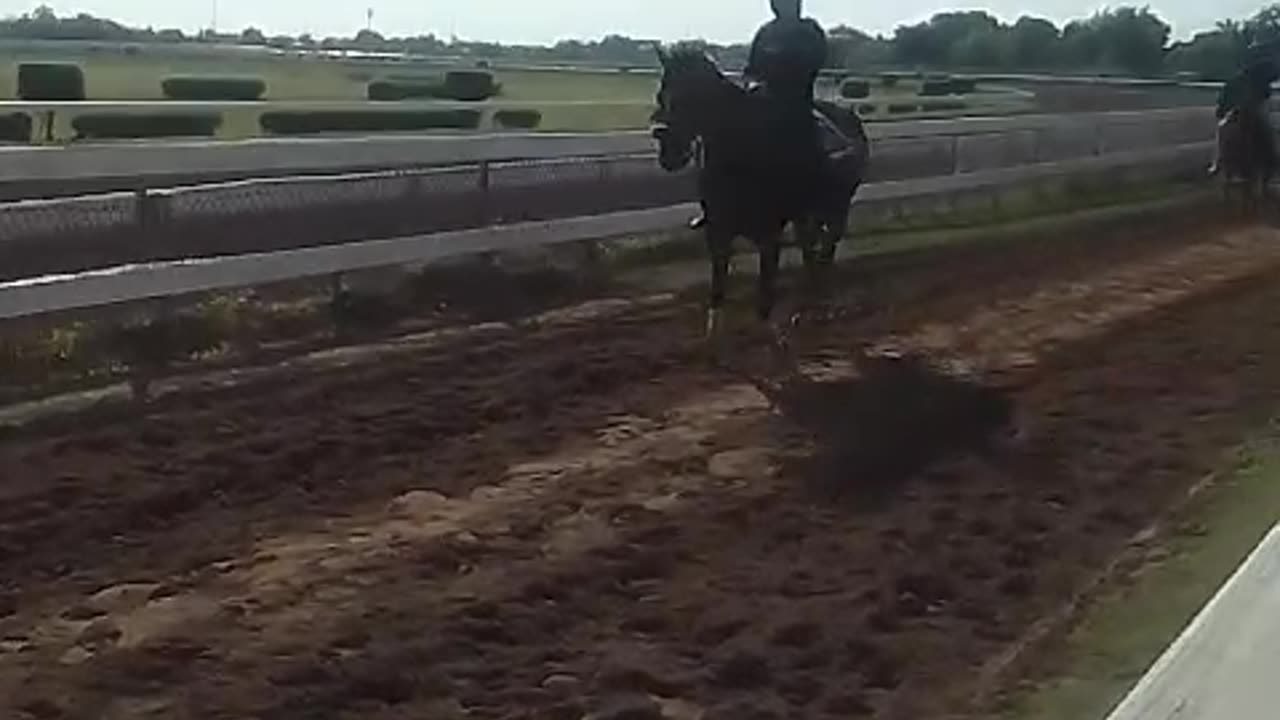 Exercise ride