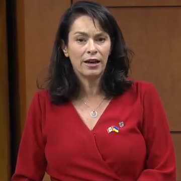 Heather McPherson the country's parliament is politicizing human rights to "forward our agenda".