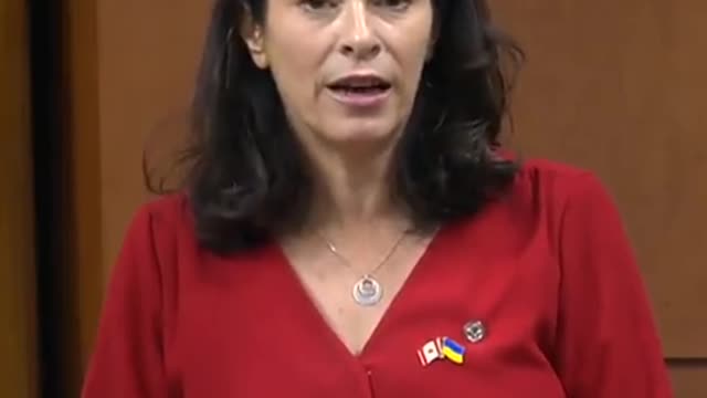 Heather McPherson the country's parliament is politicizing human rights to "forward our agenda".