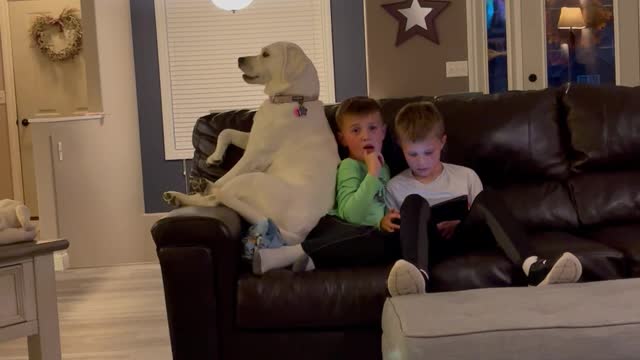 Labrador Sits With Kiddos on Couch