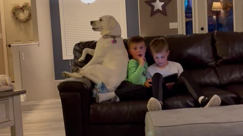 Labrador Sits With Kiddos on Couch
