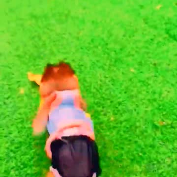 Adorable Monkeys, smartest animals, cute monkey, baby monkey, lovely monkey #19