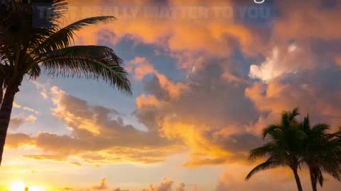 Belle Law Firm Sunset