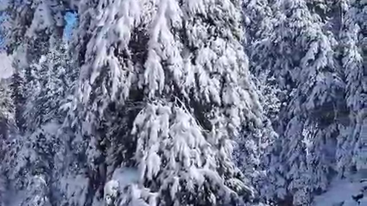Kashmiri snow view