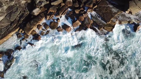 The rocky beach is dangerous but full of life