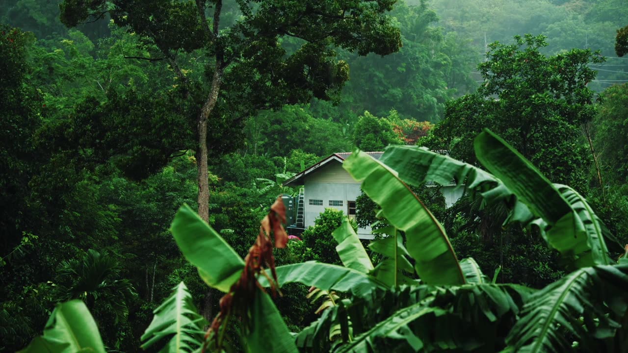 Nature thunderstorm aftermath light raindrops distant rumbles thunder| Nature sounds Alleviated Soul