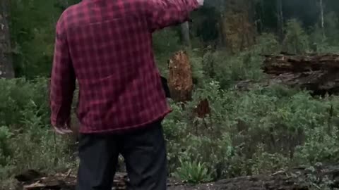 PEW PEW PEW