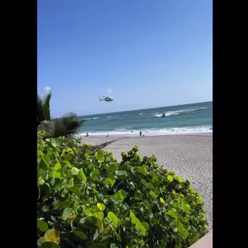 INVASION - Jupiter Beach, Florida
