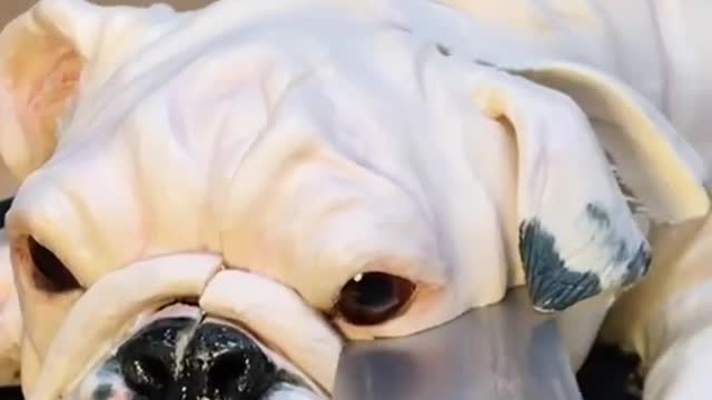Bulldog Cake cut video