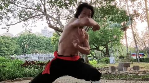 Chinese Kongfu Performance Art